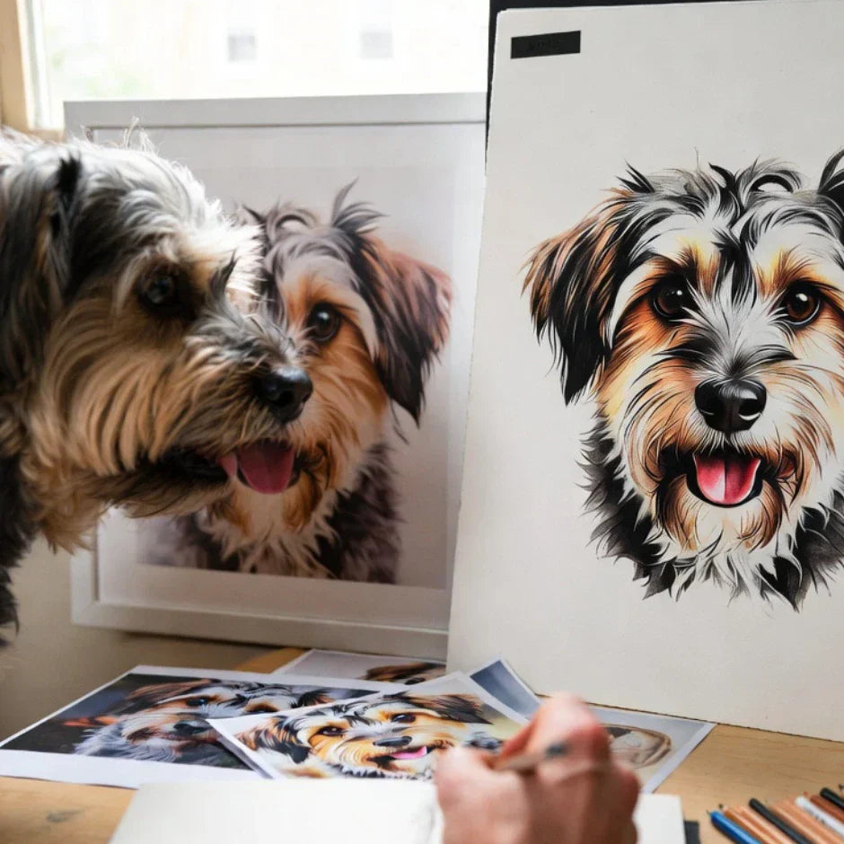 Pet portrait background color ideas for choosing colors that complement a pet