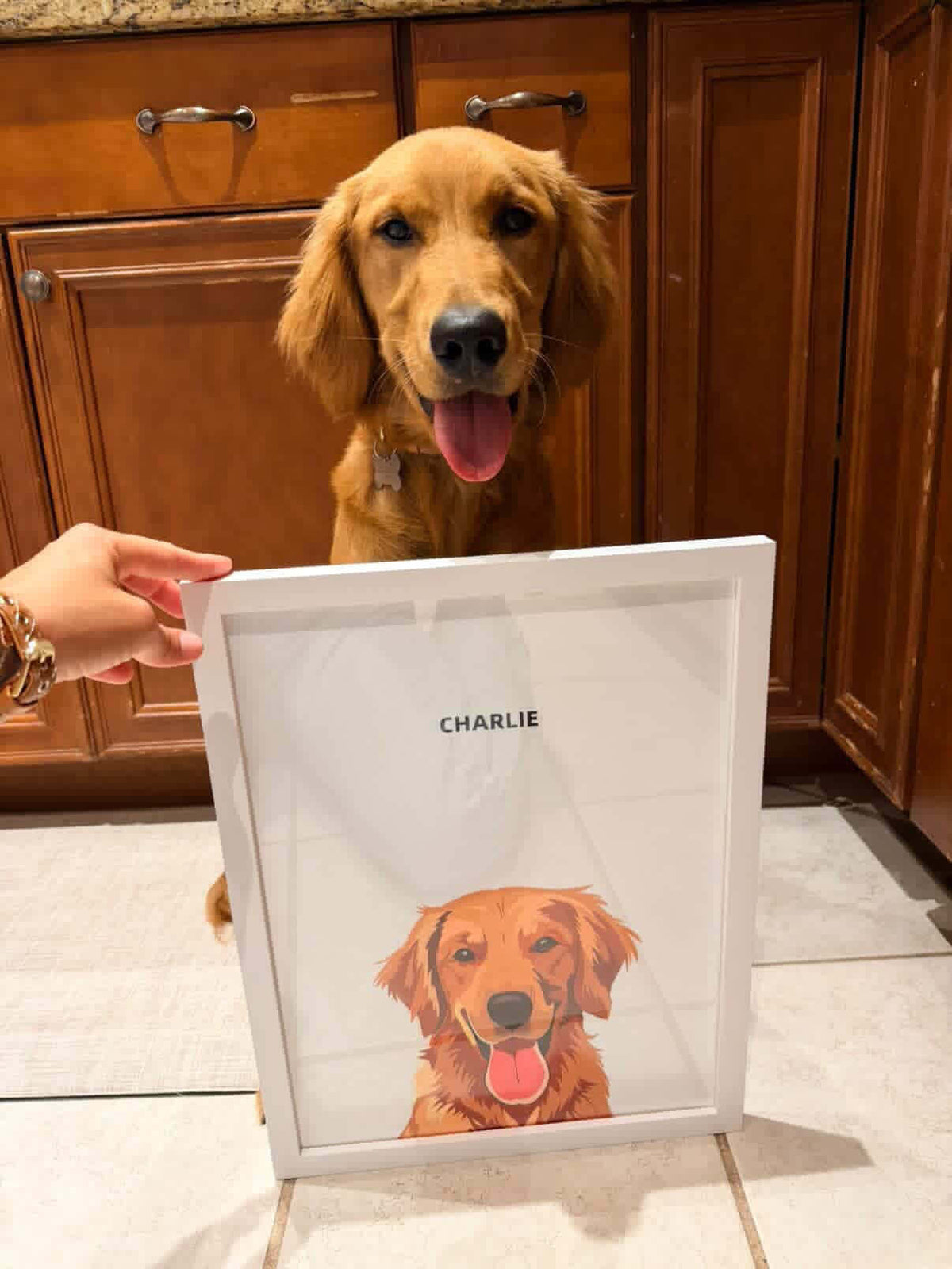 Best pet portrait styles for different personalities displayed in an artist studio