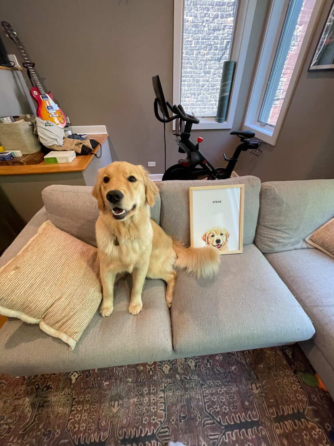 best pet memorial gifts featuring a custom hand-drawn pet portrait displayed at home