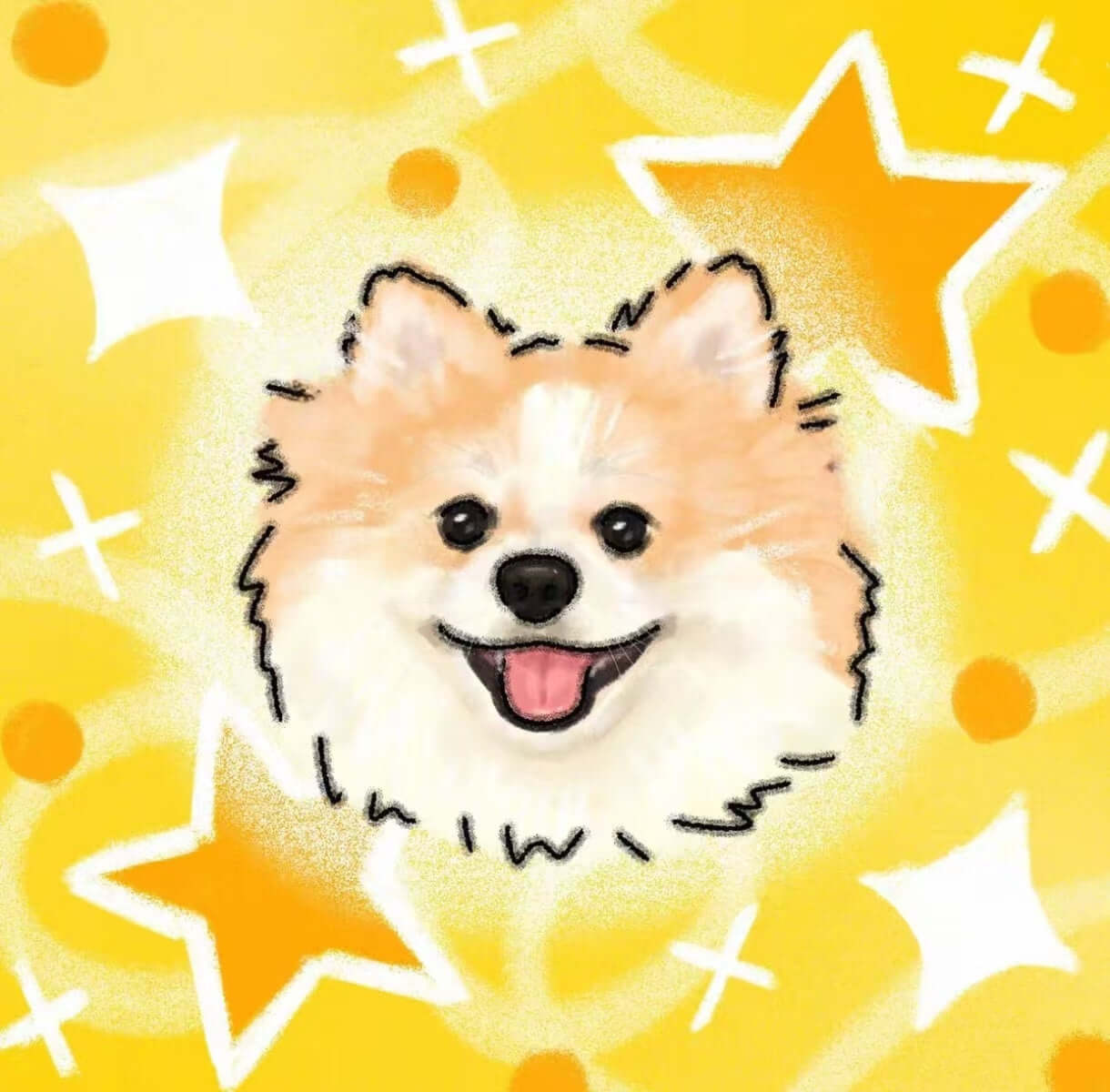 Smiling Pomeranian portrait illustration on a yellow star background