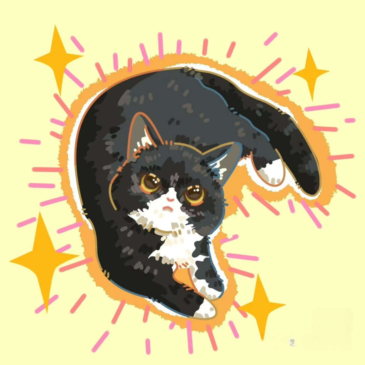 Black-and-white cat illustration with yellow stars and pink rays