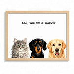 Modern Pet Portraits Three Pets
