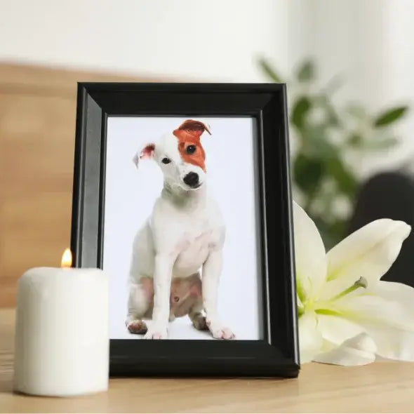 Pet Memorial Portrait For a friend grieving the loss of a dog