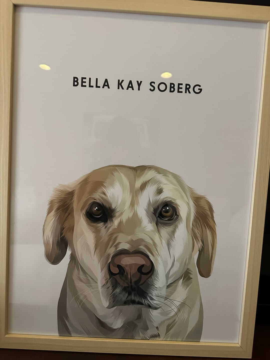 Pet Memorial Portrait customer review