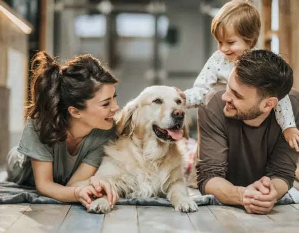 Pet Memorial Portrait for pet family