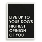 Inspirational Dog Wall Art | "Highest Opinion" Gallery Print | KOKO | Modern Pet Wall Decor by KOKO