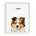 Modern Pet Portraits