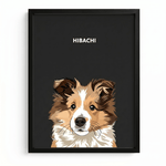 Modern Pet Portraits