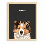 Modern Pet Portraits